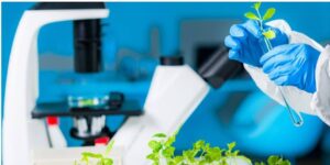 مسئول فنی گیاهپزشکی