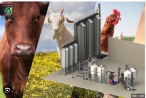 شناسایی تقلبات رایج در مواد اولیه مصرفی کارخانجات خوراک دام ، طیور و آبزیان