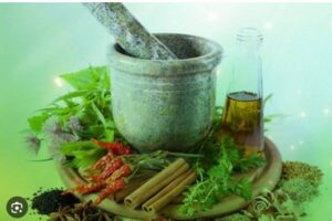 فراوری محصولات گیاهی