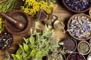 آشنایی با روش های کاشت و داشت و برداشت و آماده سازی گیاهان دارویی