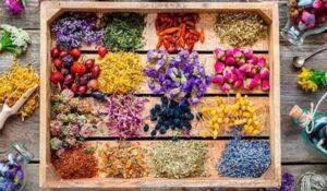 مدیریت بازاریابی و فروش گیاهان دارویی