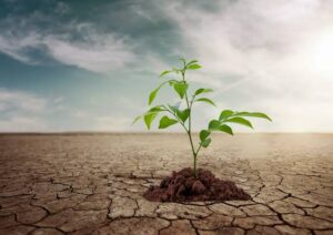 مدیریت آب و آبیاری در شرایط کم آبی و خشکسالی
