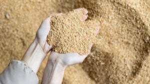 تهیه طرح های توجیهی ، فنی و اقتصادی دام و طیور
